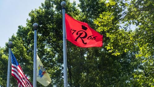 Outdoor flags